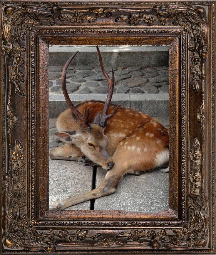 framed picture of me